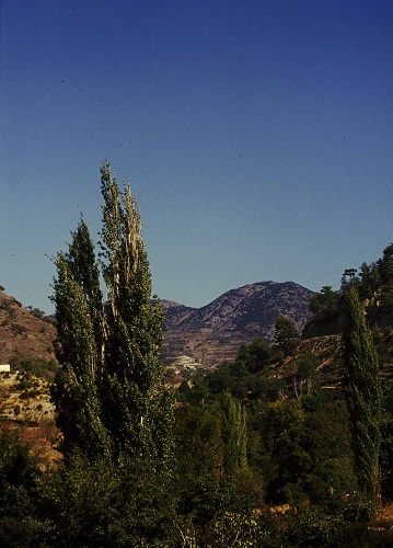 Agros, natural landscape at Agros village.